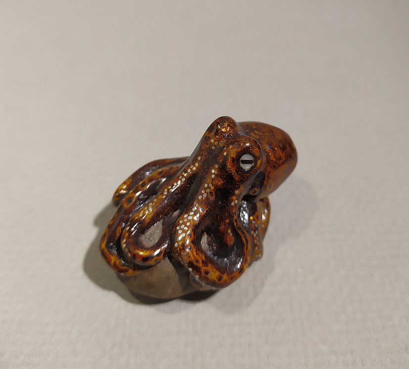 Octopus on a stone02